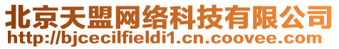 北京天盟網絡科技有限公司