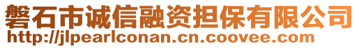 磐石市誠(chéng)信融資擔(dān)保有限公司