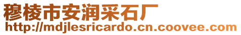 穆棱市安潤采石廠