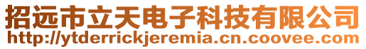 招遠(yuǎn)市立天電子科技有限公司