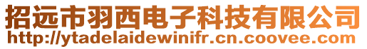 招遠市羽西電子科技有限公司
