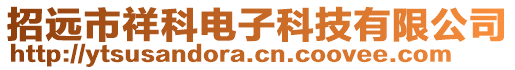 招遠市祥科電子科技有限公司