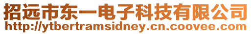 招遠市東一電子科技有限公司