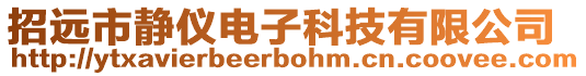 招遠市靜儀電子科技有限公司