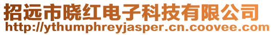 招遠市曉紅電子科技有限公司