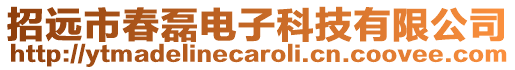 招遠市春磊電子科技有限公司