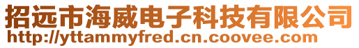 招遠市海威電子科技有限公司