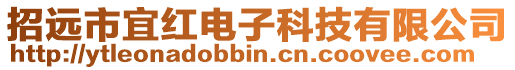 招遠市宜紅電子科技有限公司