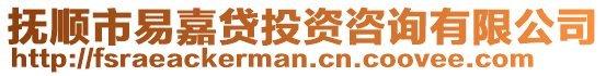 撫順市易嘉貸投資咨詢有限公司