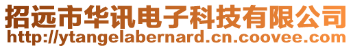 招遠市華訊電子科技有限公司