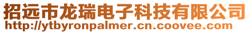 招遠市龍瑞電子科技有限公司