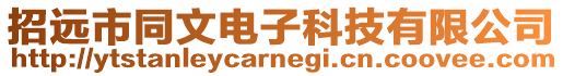招遠市同文電子科技有限公司