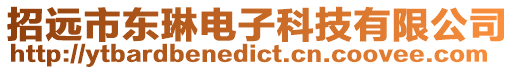 招遠(yuǎn)市東琳電子科技有限公司