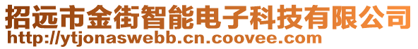 招遠市金街智能電子科技有限公司