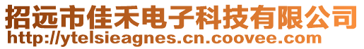 招遠市佳禾電子科技有限公司
