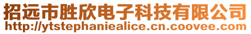招遠市勝欣電子科技有限公司