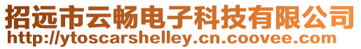 招遠市云暢電子科技有限公司
