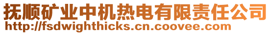 撫順礦業中機熱電有限責任公司