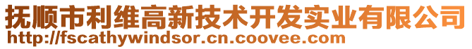 撫順市利維高新技術開發實業有限公司