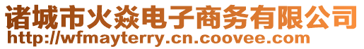 諸城市火焱電子商務有限公司