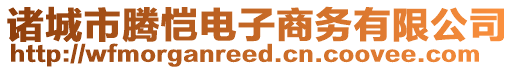 諸城市騰愷電子商務(wù)有限公司