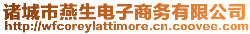 諸城市燕生電子商務(wù)有限公司