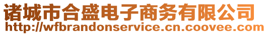 諸城市合盛電子商務有限公司