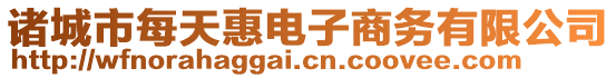 諸城市每天惠電子商務(wù)有限公司