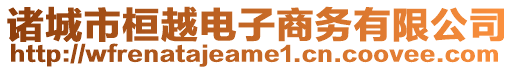 諸城市桓越電子商務有限公司