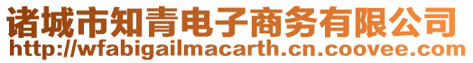 諸城市知青電子商務(wù)有限公司