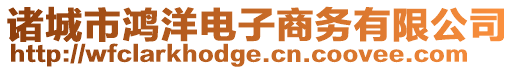 諸城市鴻洋電子商務有限公司