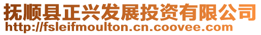 撫順縣正興發展投資有限公司