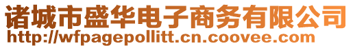 諸城市盛華電子商務(wù)有限公司