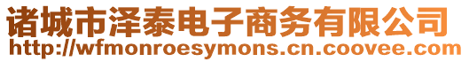 諸城市澤泰電子商務有限公司