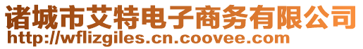諸城市艾特電子商務(wù)有限公司