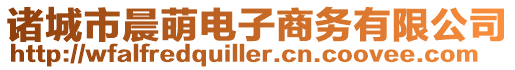 諸城市晨萌電子商務(wù)有限公司