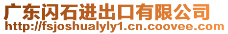廣東閃石進(jìn)出口有限公司