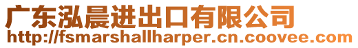 廣東泓晨進出口有限公司