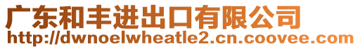 廣東和豐進出口有限公司