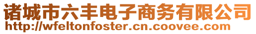 諸城市六豐電子商務(wù)有限公司