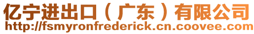 億寧進出口(廣東)有限公司