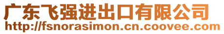 廣東飛強(qiáng)進(jìn)出口有限公司