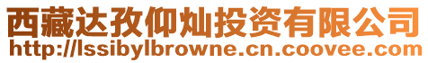西藏達孜仰燦投資有限公司