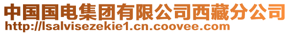 中國(guó)國(guó)電集團(tuán)有限公司西藏分公司