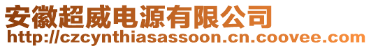 安徽超威電源有限公司