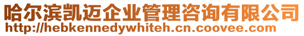 哈爾濱凱邁企業管理咨詢有限公司
