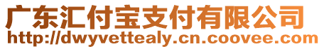 廣東匯付寶支付有限公司