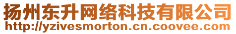 揚(yáng)州東升網(wǎng)絡(luò)科技有限公司