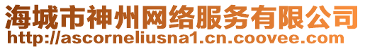 海城市神州網(wǎng)絡(luò)服務(wù)有限公司