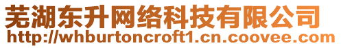 蕪湖東升網(wǎng)絡科技有限公司